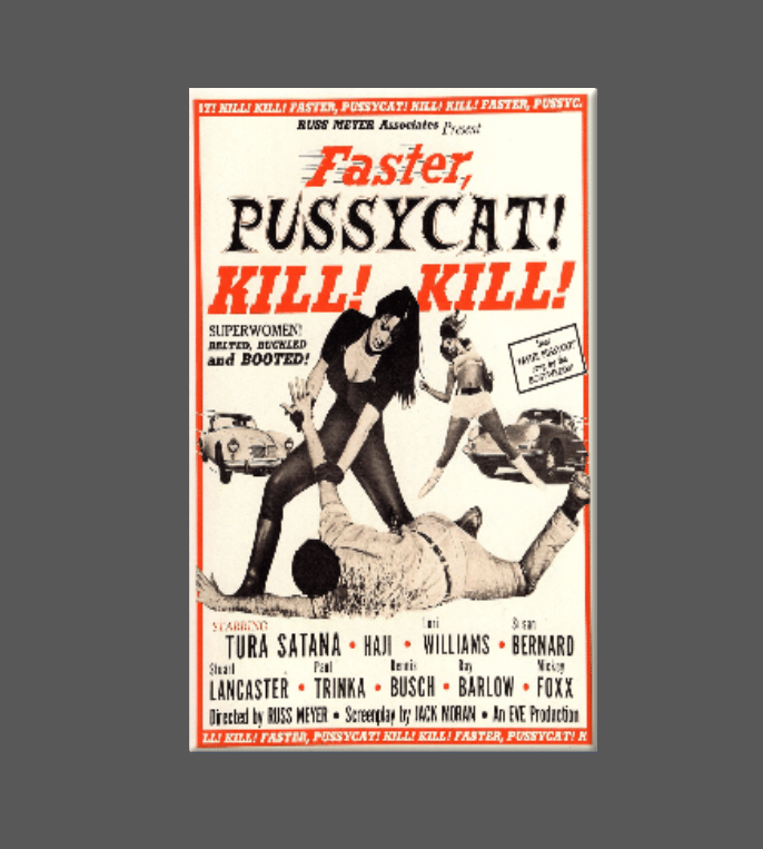 FASTER PUSSYCAT KILL KILL